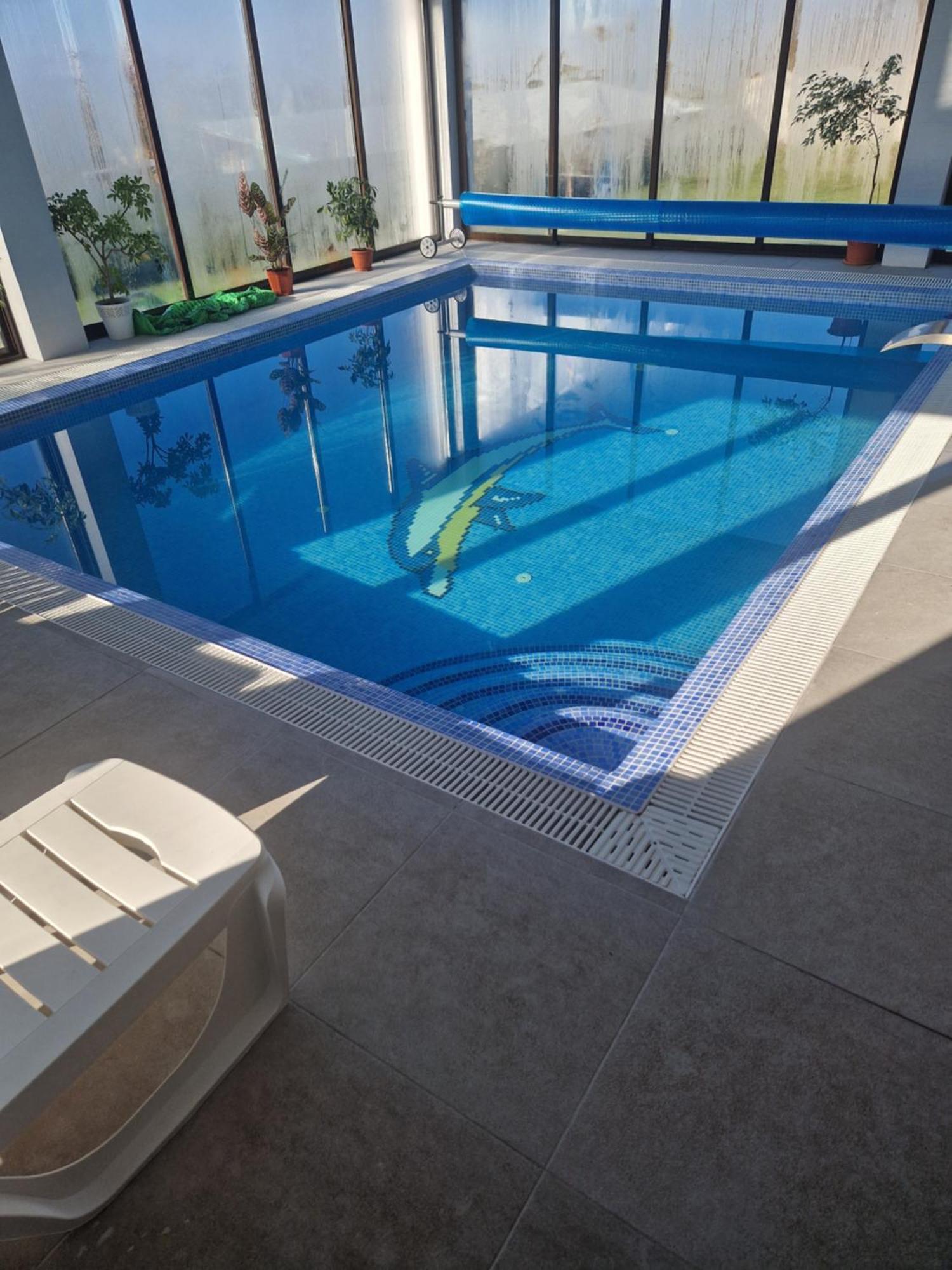 Cabanutele Din Lemn Vila Chiscau Exterior foto